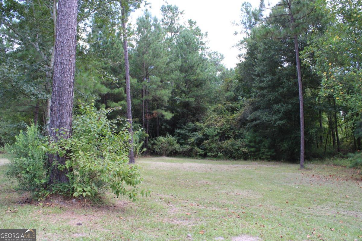 0 Sturgeon Creek Road, Unit LOT 3 Fitzgerald, GA 31750 - Photo 6 of 10