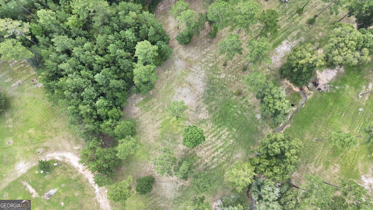 0 Sturgeon Creek Road, Unit LOT 3 Fitzgerald, GA 31750 - Photo 7 of 10
