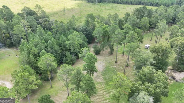 $34,500 | 0 Sturgeon Creek Road, Unit LOT 3, Fitzgerald, GA 31750