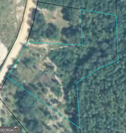 $34,500 | 0 Sturgeon Creek Road, Unit LOT 3, Fitzgerald, GA 31750