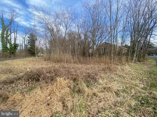 a view of backyard with green space