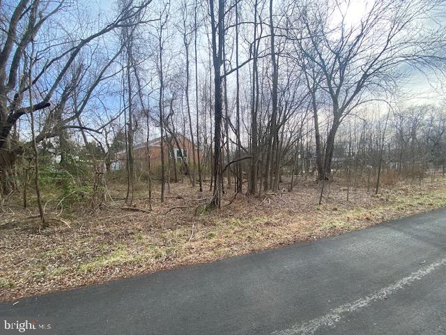 1027 Old Turkey Point Road Edgewater, MD 21037 - Photo 4 of 7 a backyard of a house with lots of green space