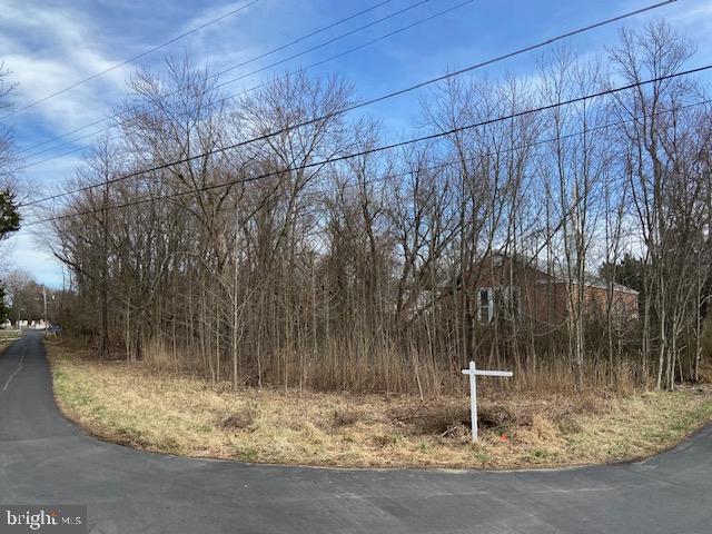 1027 Old Turkey Point Road Edgewater, MD 21037 - Photo 6 of 7 a view of a backyard