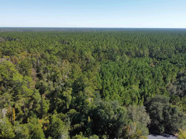 $99,000 | 24818 Northwest 333rd Road, Bristol, FL 32321