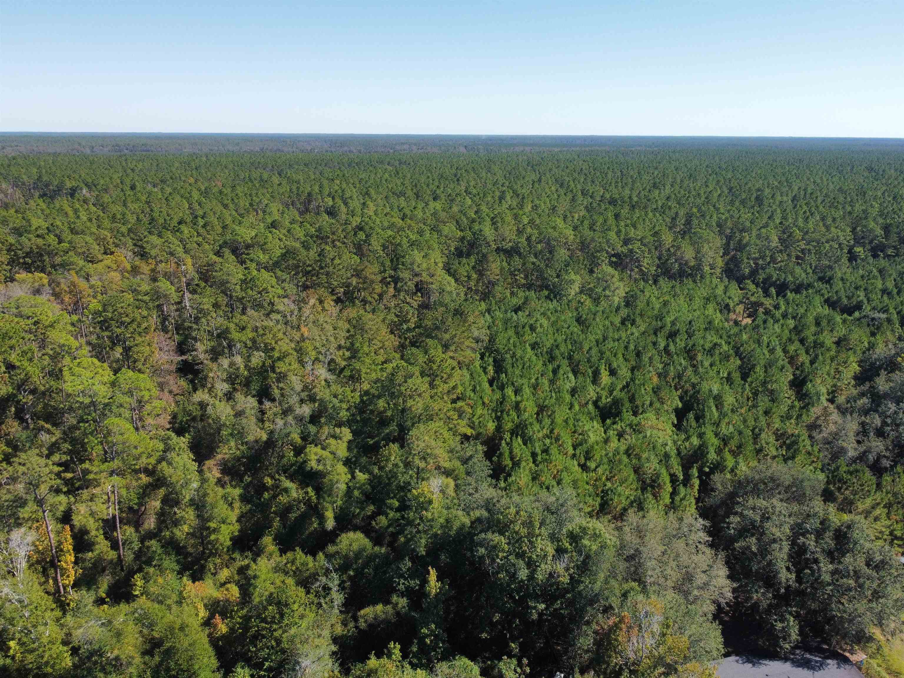 24818 Northwest 333rd Road Bristol, FL 32321 - Photo 2 of 3