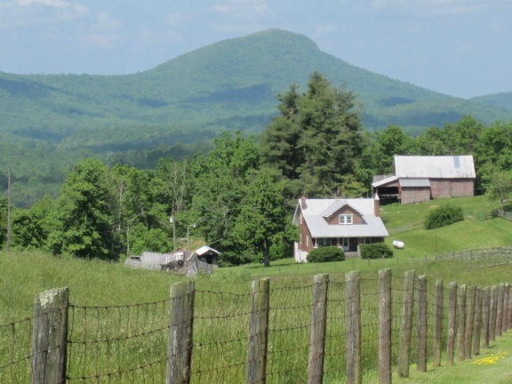 3404 Black Ridge Road Southwest Floyd, VA 24091 - Photo 1 of 39 a view of a garden