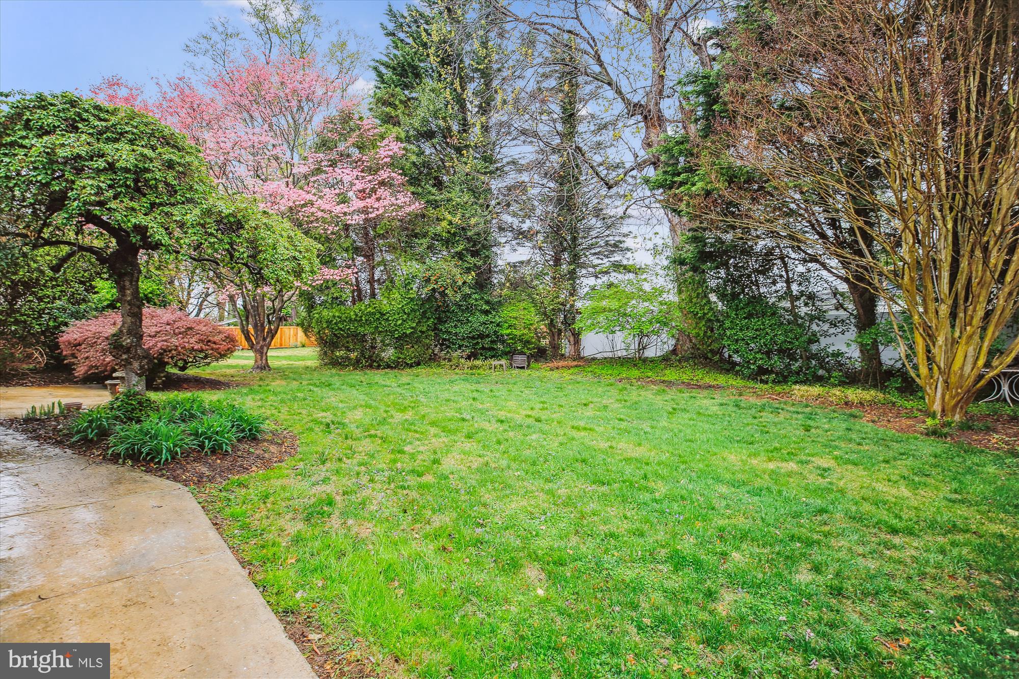 4105 Tulare Drive Silver Spring, MD 20906 - Photo 4 of 54 a view of a backyard with a garden