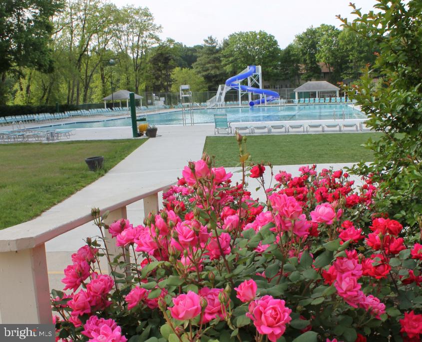 4105 Tulare Drive Silver Spring, MD 20906 - Photo 43 of 54 Connecticut Belair Swim & Tennis Club