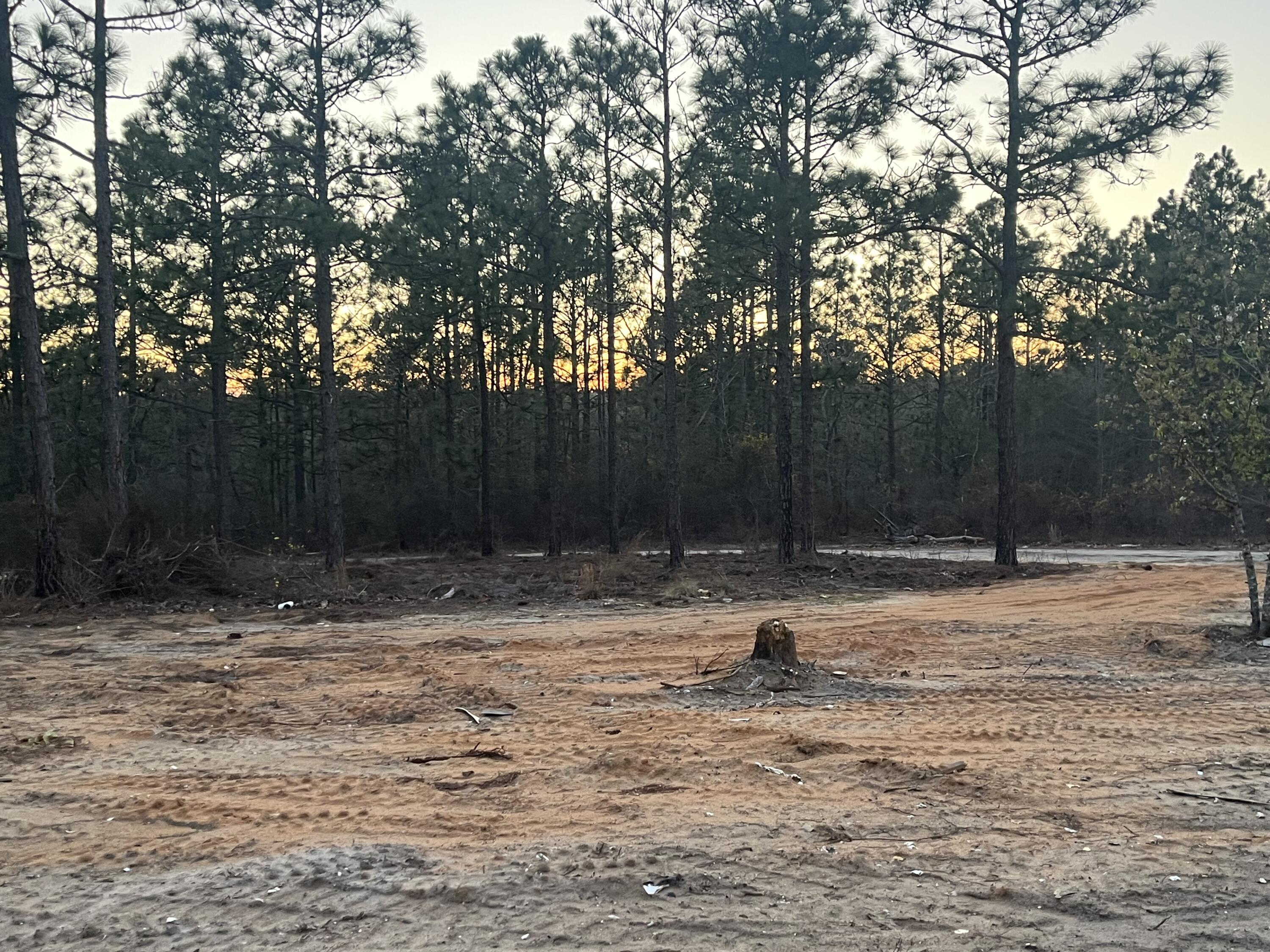 401 Outing Club Road Aiken, SC 29801 - Photo 4 of 5