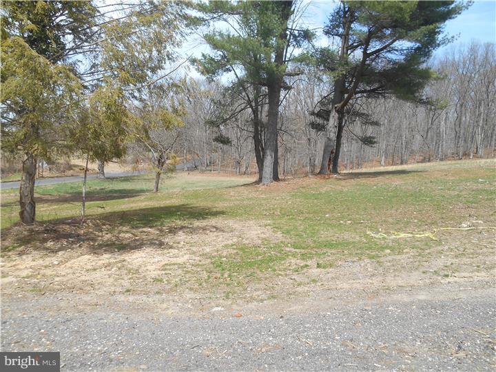 4527 Church Road Doylestown, PA 18902 - Photo 2 of 5