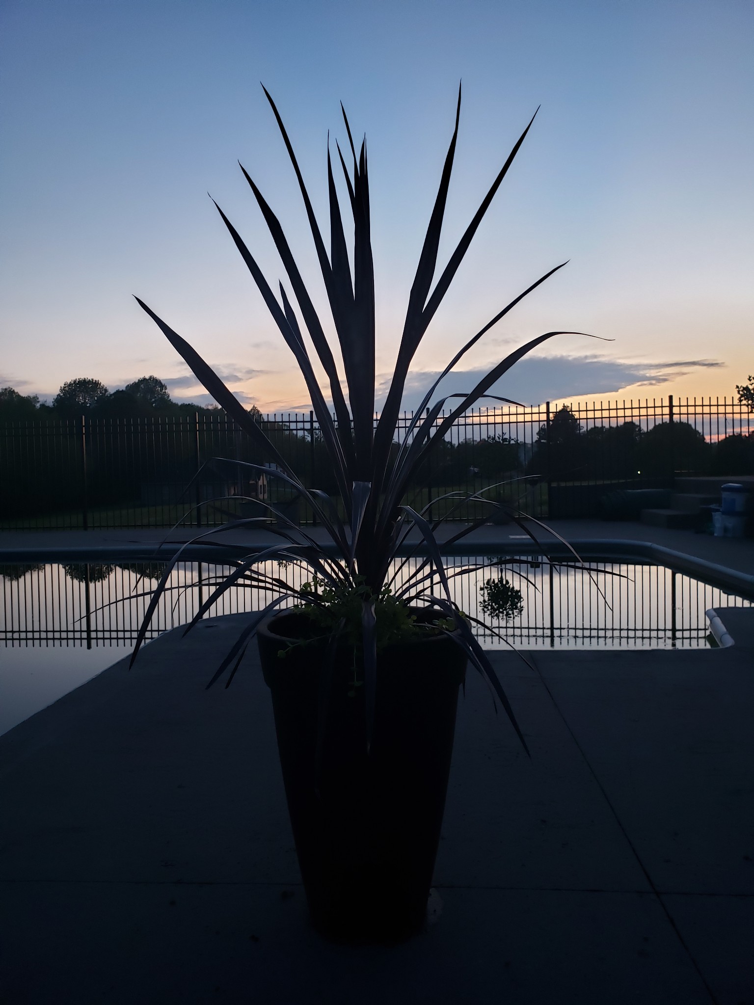 655 Hillview Road North Dickson, TN 37055 - Photo 63 of 68 Gallery Image 63