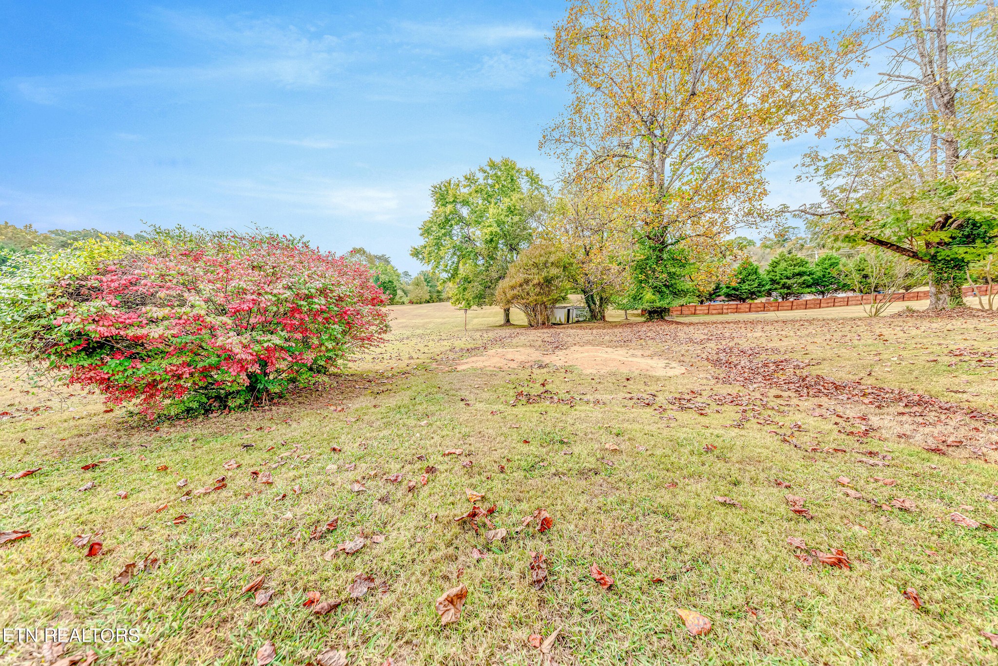 3021 Beech Road Louisville, TN 37777 - Photo 7 of 23 Gallery Image 7