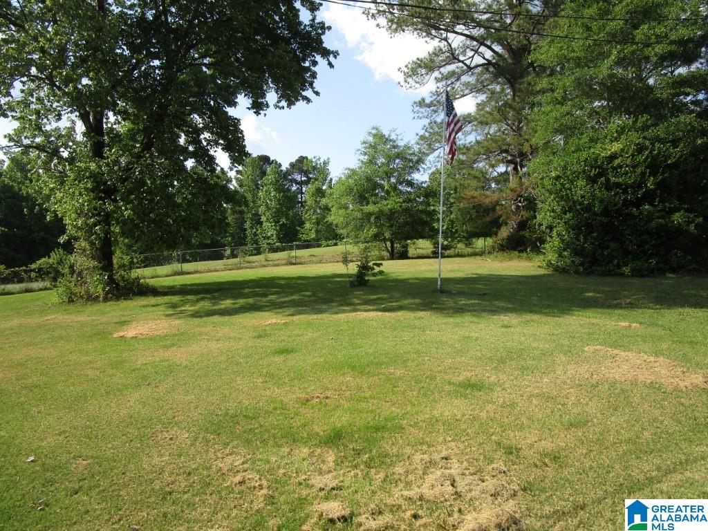 434 Skyview Lake Road Warrior, AL 35180 - Photo 7 of 17