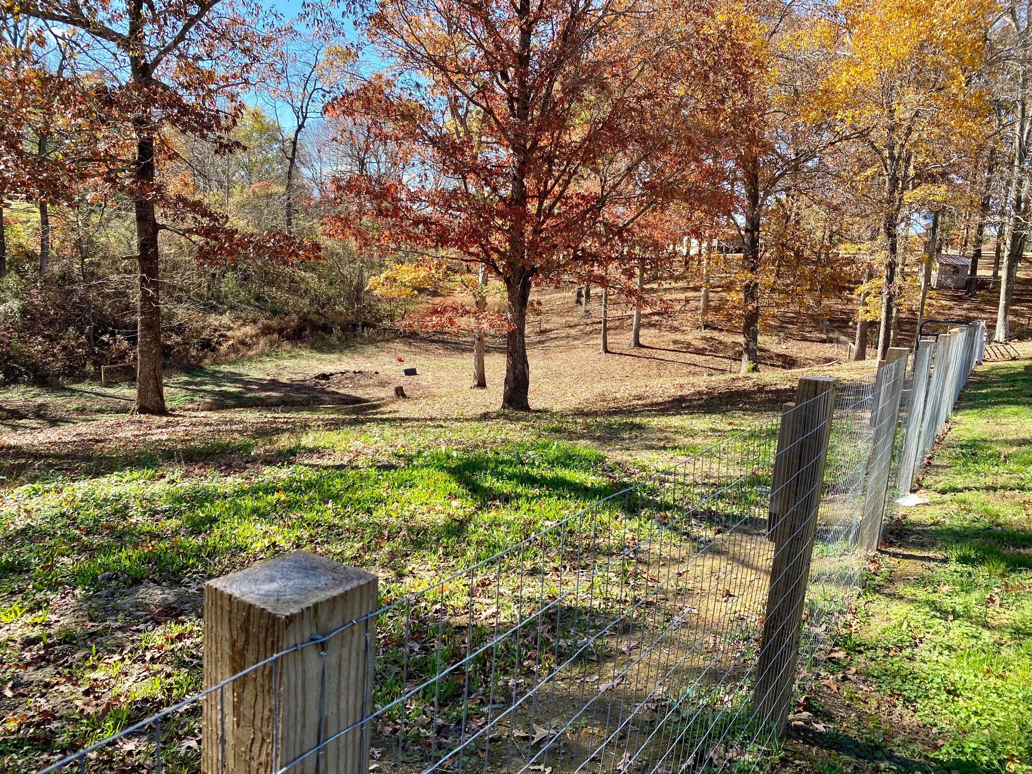 126 Martin Road Bon Aqua, TN 37025 - Photo 38 of 40 Gallery Image 38