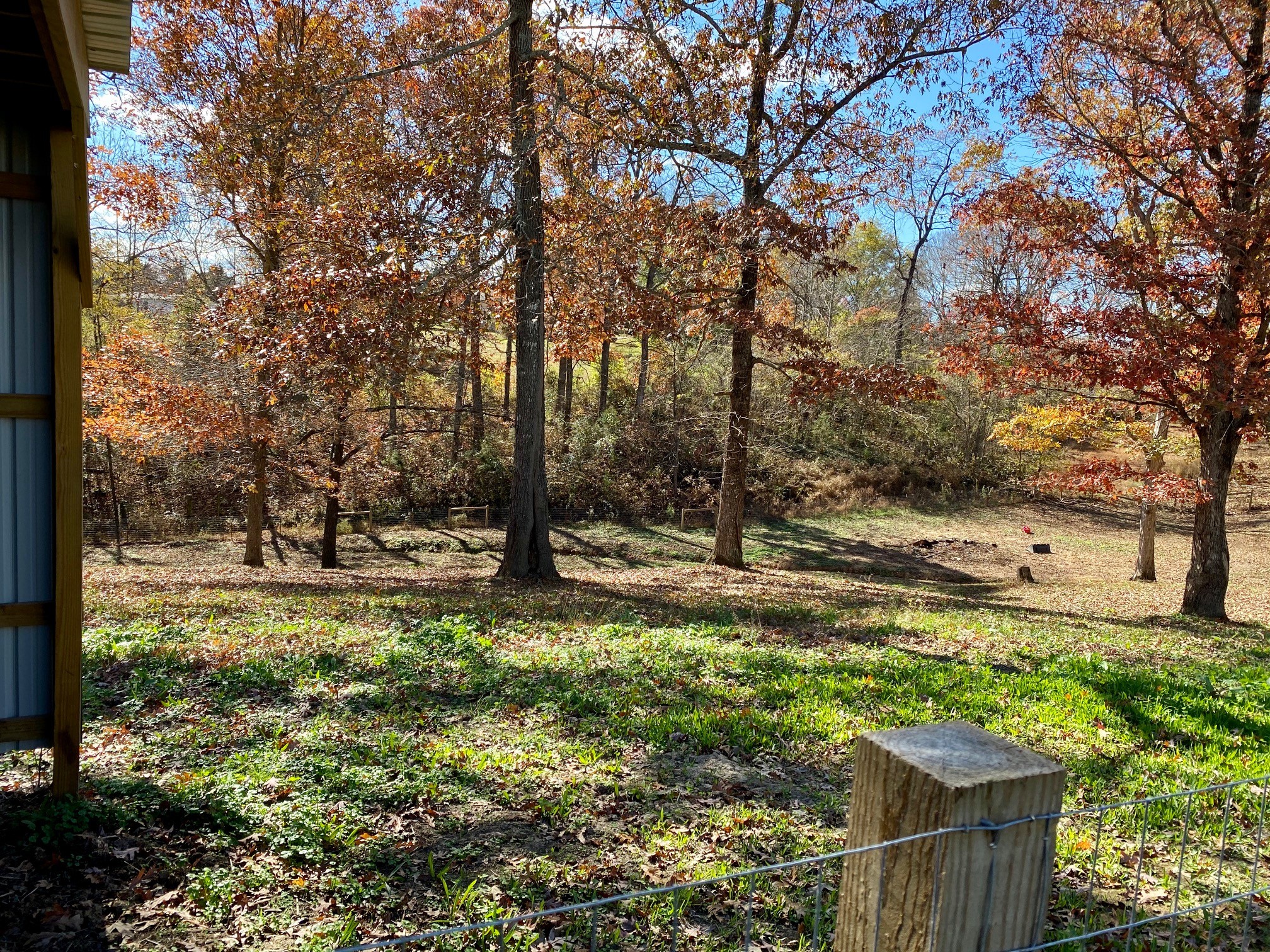 126 Martin Road Bon Aqua, TN 37025 - Photo 39 of 40 Gallery Image 39