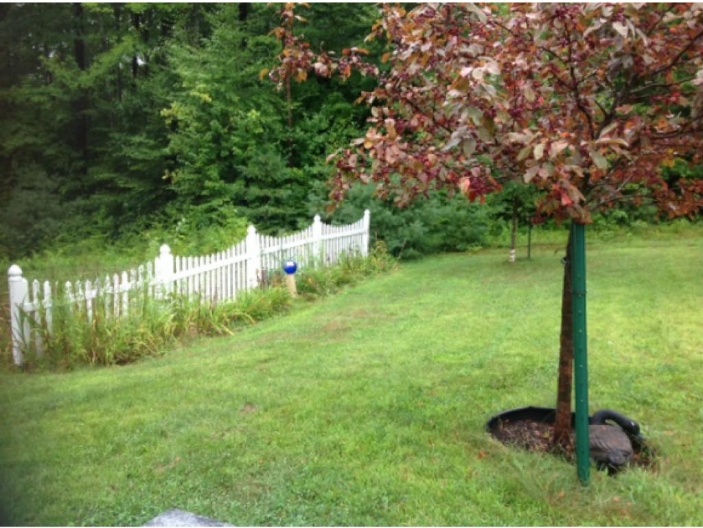 167 Apple Hill Road Sullivan, NH 03445 - Photo 15 of 15