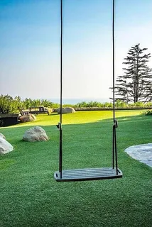 a view of a park with a big yard