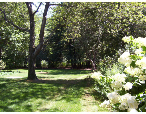 322 Lincoln Street Lexington, MA 02421 - Photo 4 of 9 a big yard with lots of green space and plants