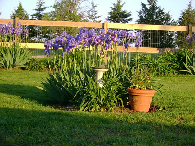 43 Serpentine Road Warren, RI 02885 - Photo 22 of 23 Yard/Garden.