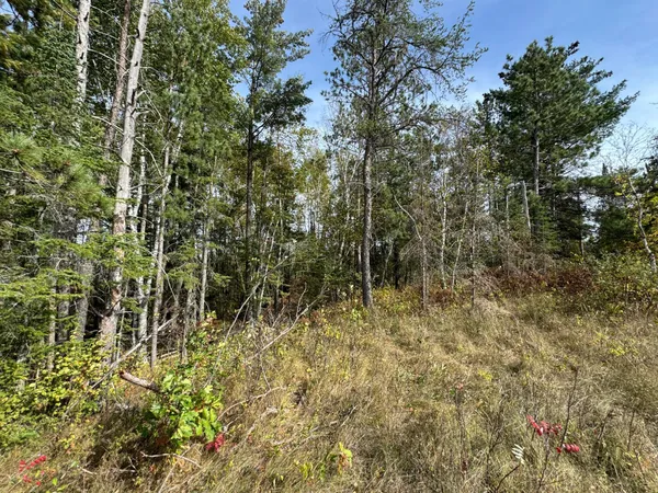 $60,000 | Tbd 243rd Avenue, Shevlin, MN 56676