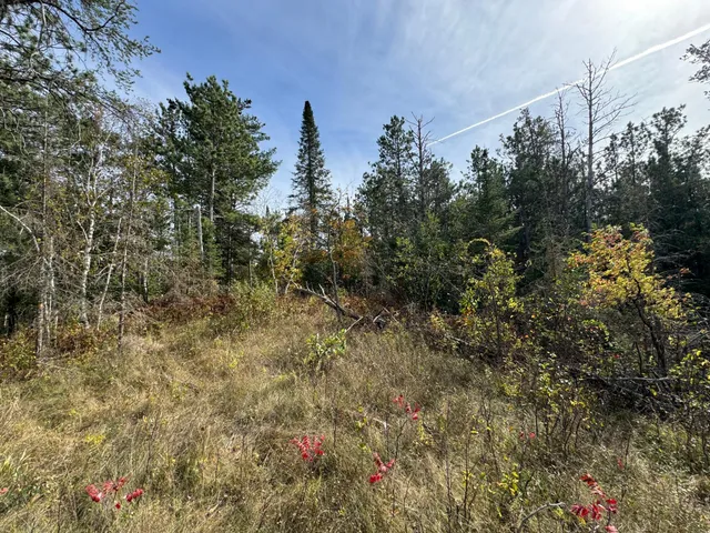 $60,000 | Tbd 243rd Avenue, Shevlin, MN 56676