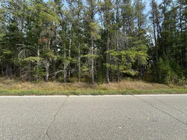 $60,000 | Tbd 243rd Avenue, Shevlin, MN 56676