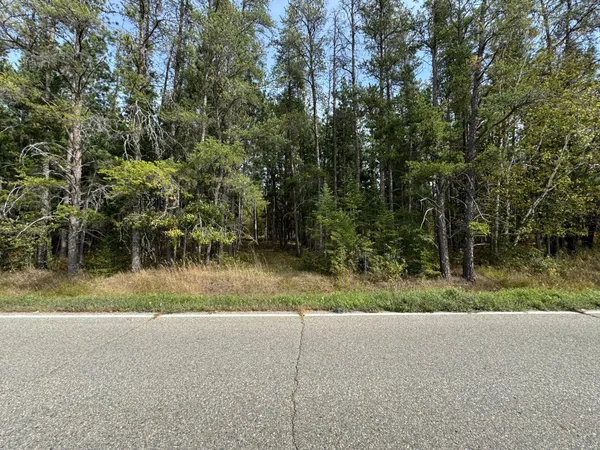 $60,000 | Tbd 243rd Avenue, Shevlin, MN 56676