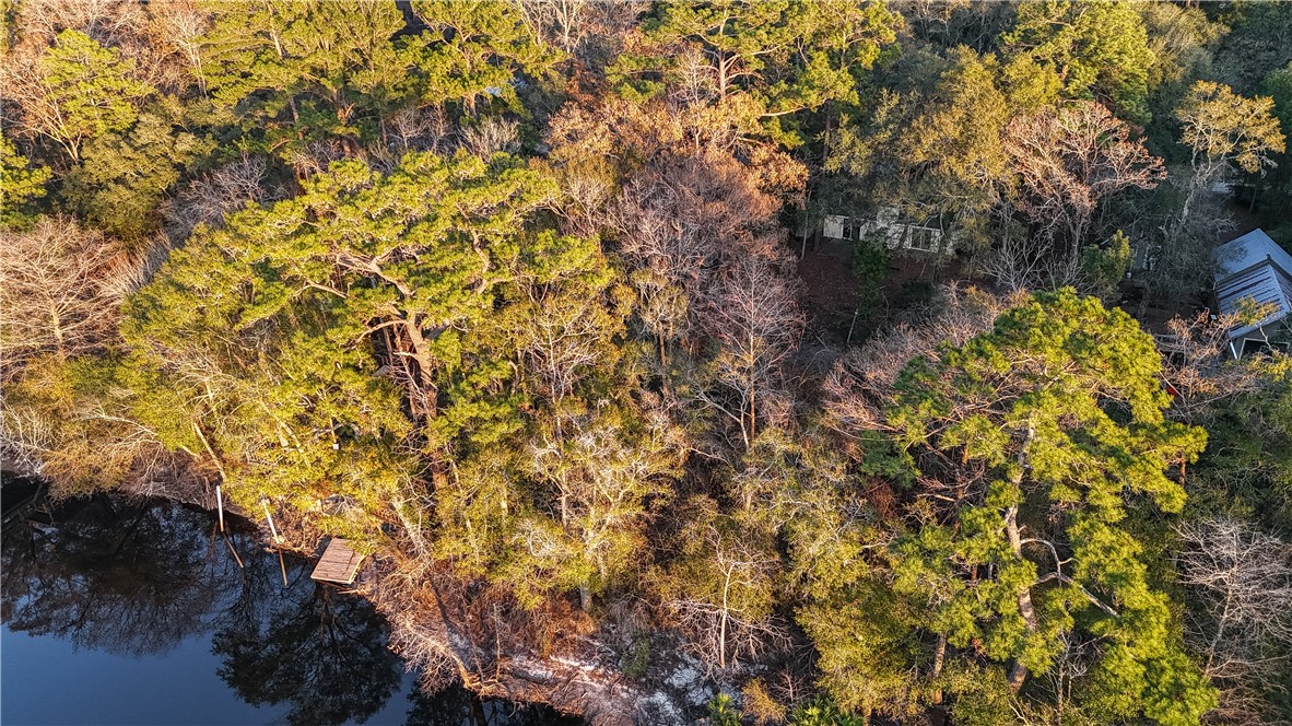 751 Fort McIntosh Loop Hortense, GA 31543 - Photo 5 of 35