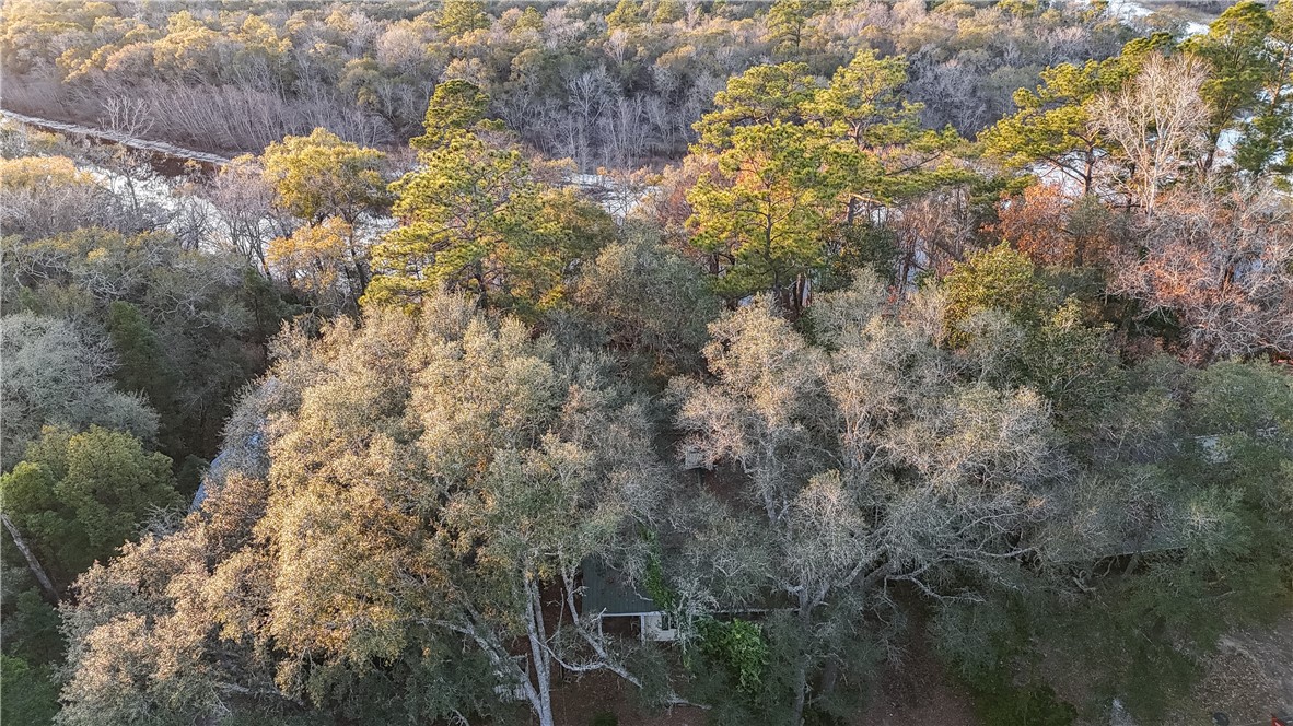 751 Fort McIntosh Loop Hortense, GA 31543 - Photo 7 of 35