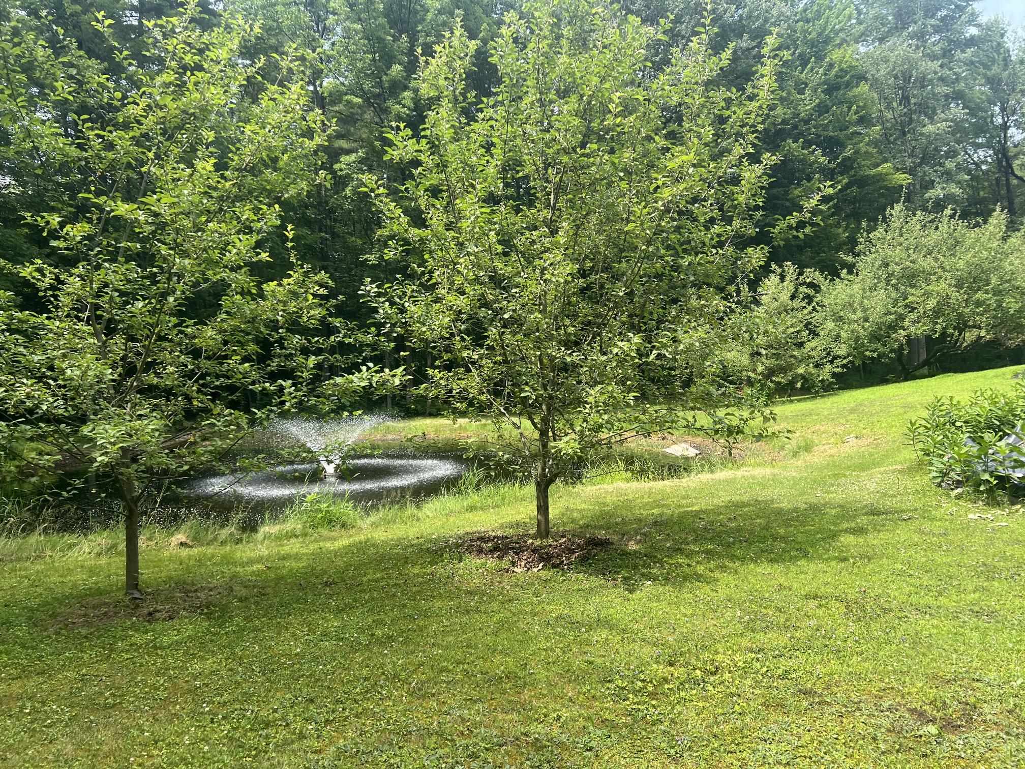 490 Watkins Road Colchester, VT 05446 - Photo 5 of 44