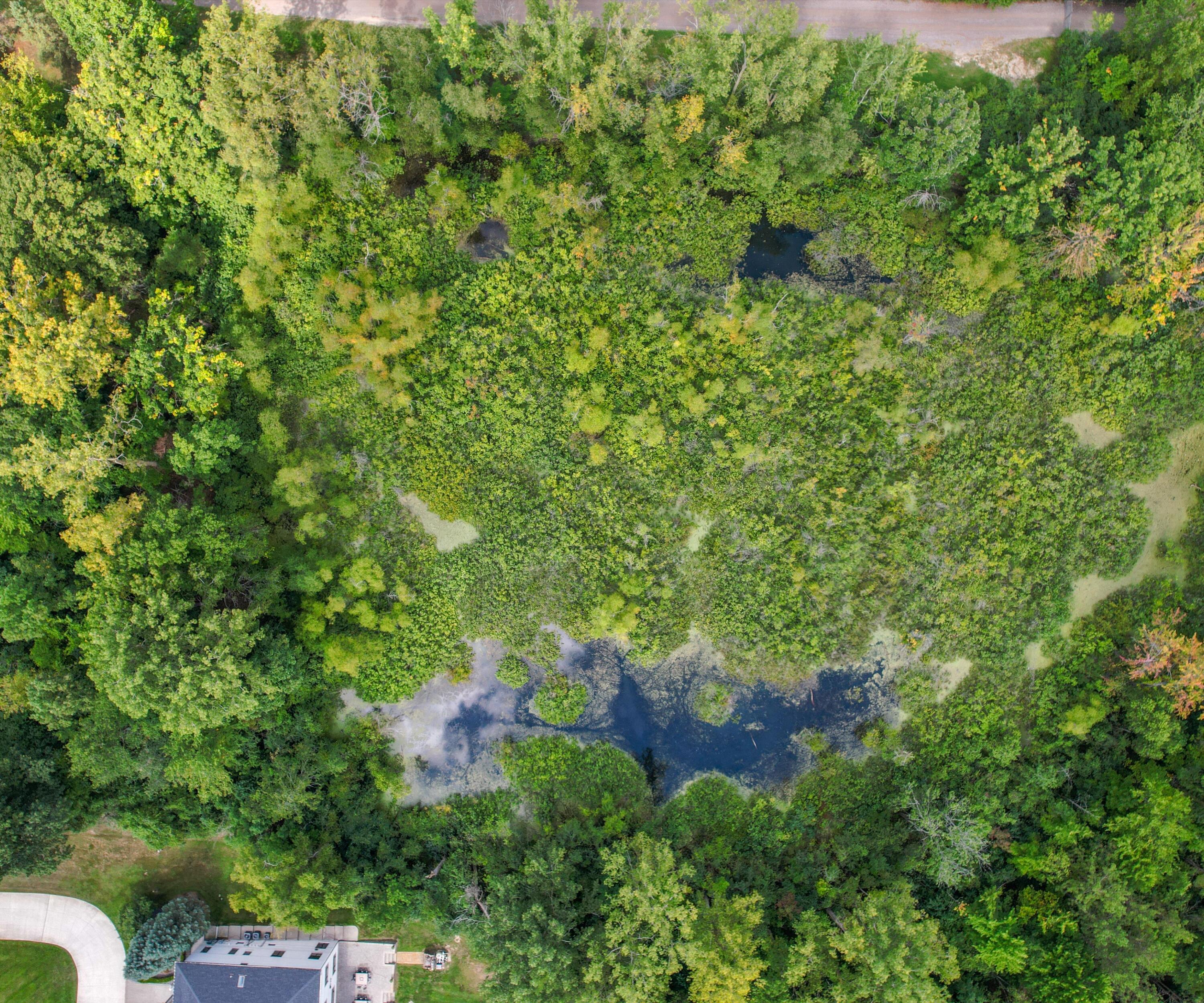 5835 Drake Road West Bloomfield, MI 48322 - Photo 15 of 18 The Brandt Benefit Sells Land (15)