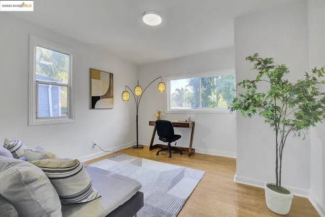 a living room with furniture and a potted plant
