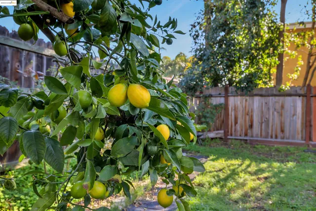 $469,000 | 3388 64th Avenue, Oakland, CA 94605