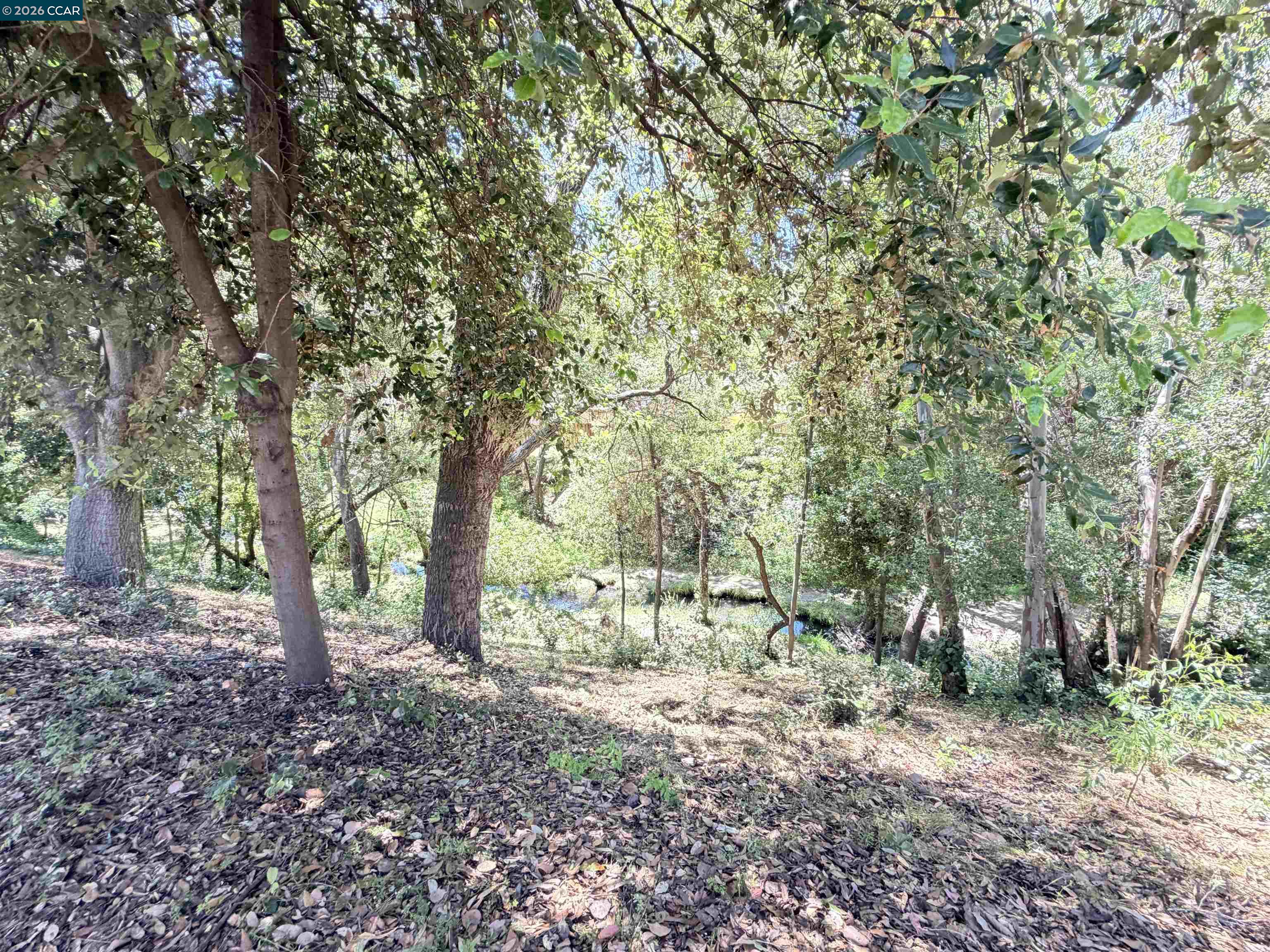 886 Valley Run Hercules, CA 94547 - Photo 23 of 39