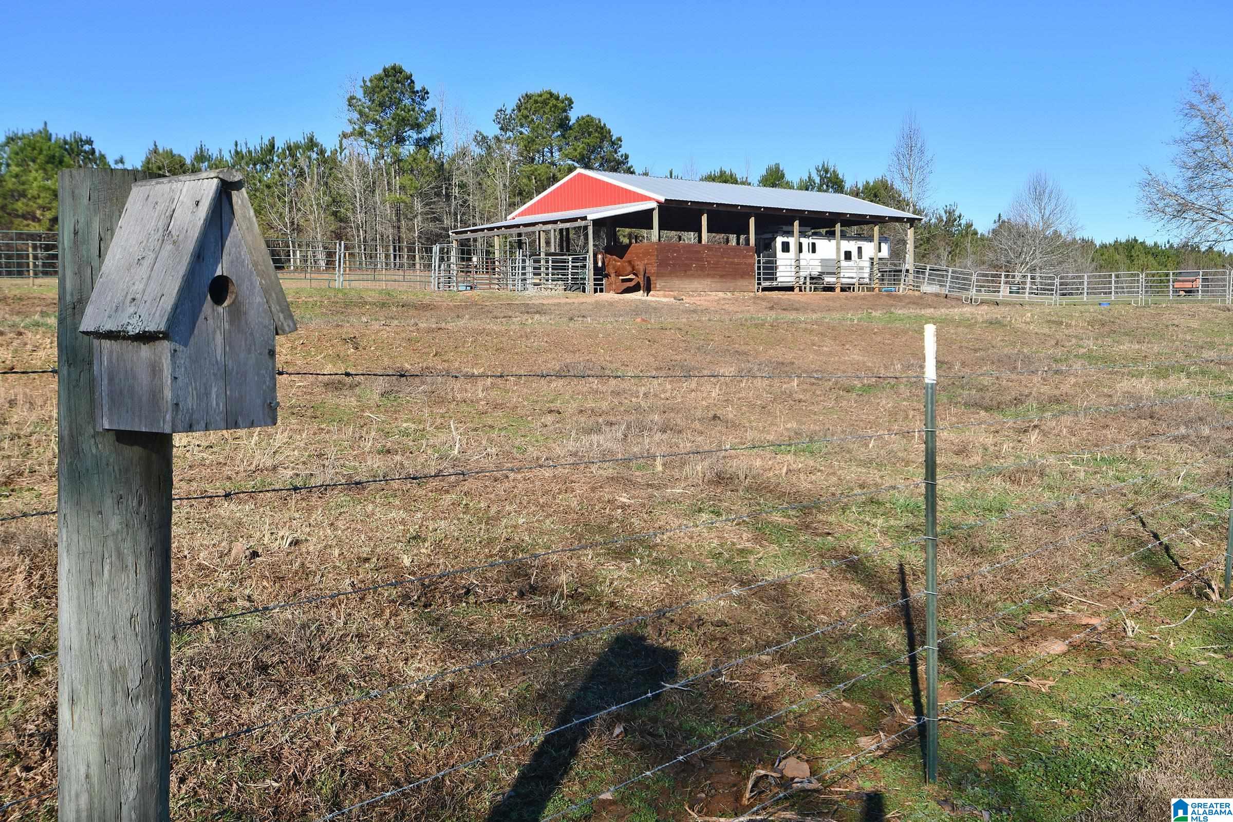 1442 Bluff Valley Road Cragford, AL 36255 - Photo 12 of 66