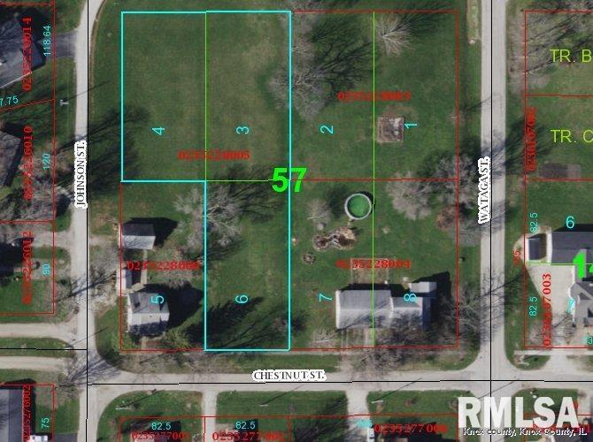 0 West Chestnut Street Oneida, IL 61467 - Photo 1 of 1 Gallery Image 1