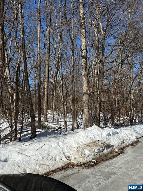 15 Saw Mill Road Butler, NJ 07405 - Photo 14 of 15 Gallery Image 14