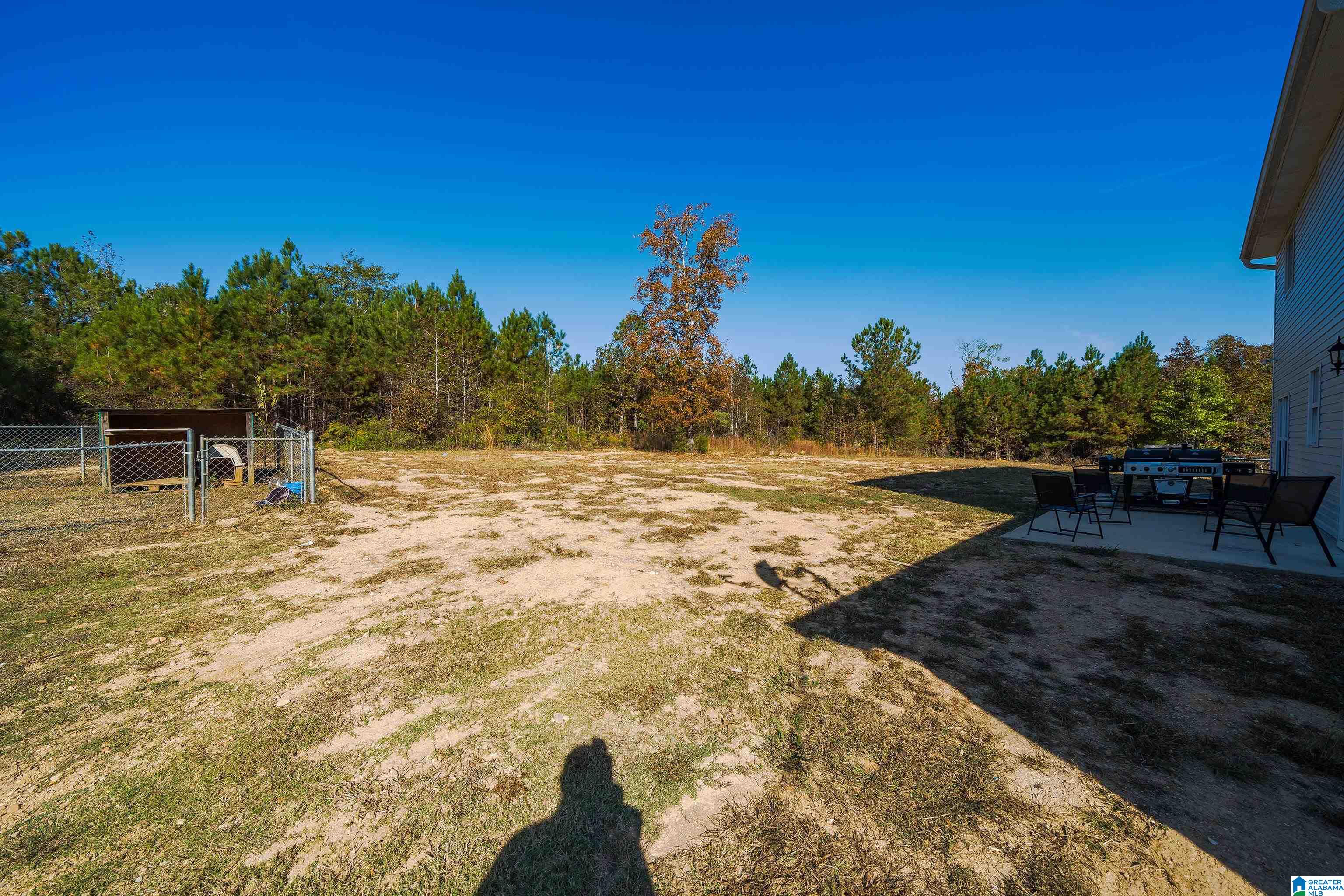 990 Sweatt Road Steele, AL 35987 - Photo 28 of 29 Gallery Image 28