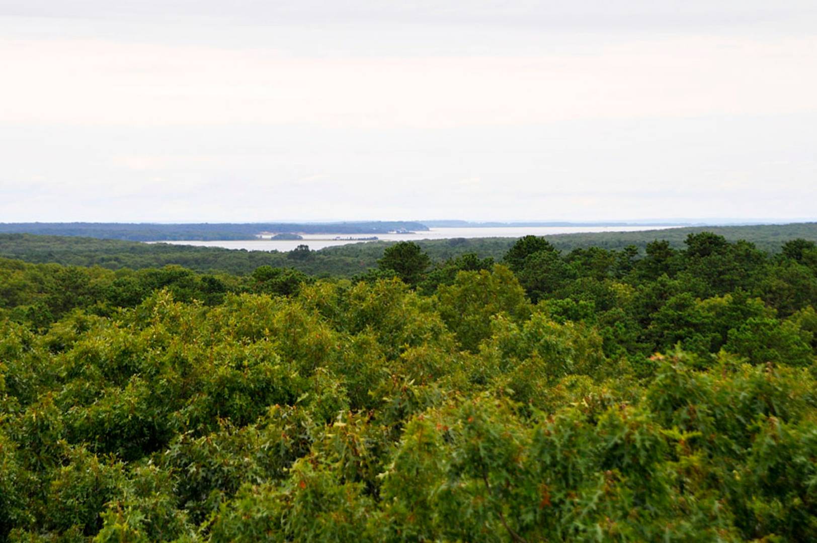 5 Highview Drive Wainscott, NY 11937 - Photo 2 of 20 an aerial view of houses covered in trees