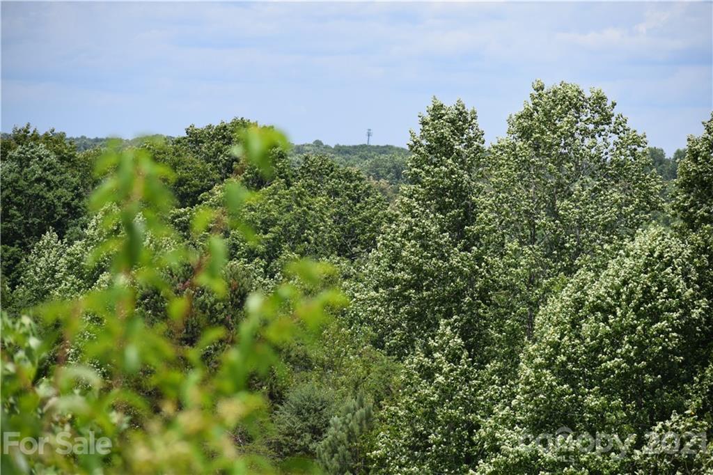 2838 Wyannt Road, Unit 3 Catawba, NC 28609 - Photo 22 of 47 Gallery Image 22