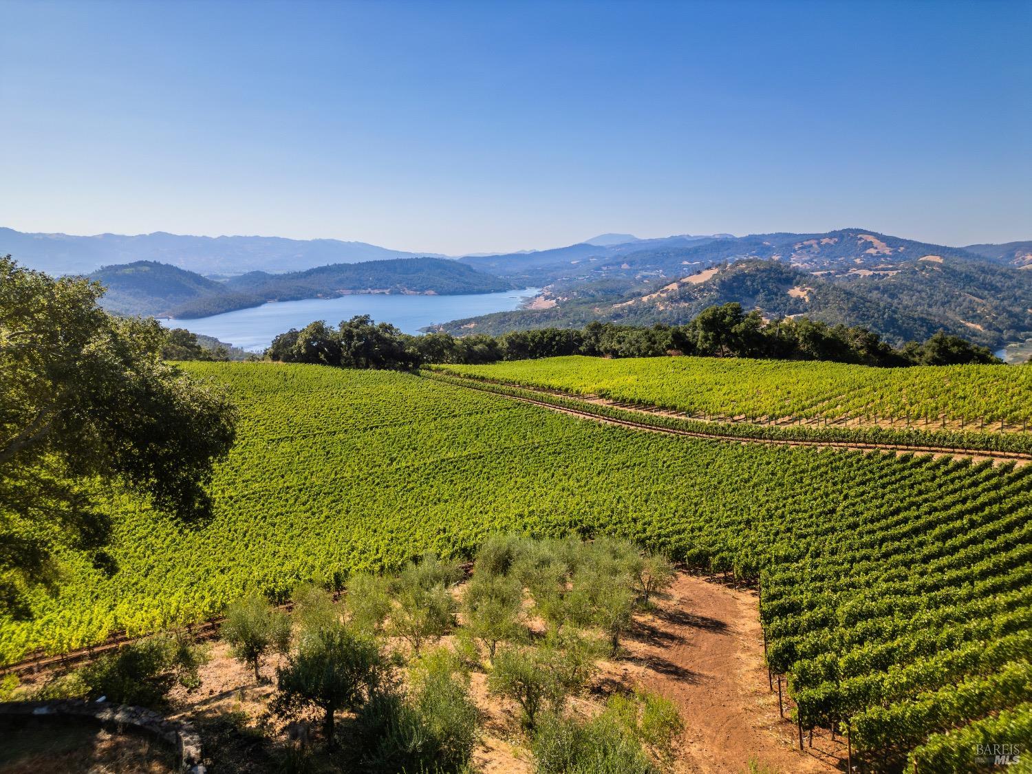 1535 Sage Canyon Road St. Helena, CA 94574 - Photo 30 of 31