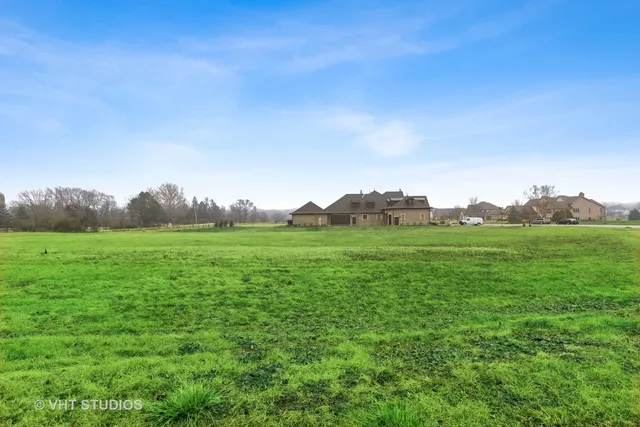 a view of a grassy field with trees