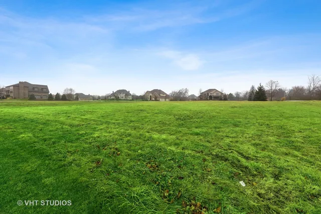 a view of a field with plants and large trees