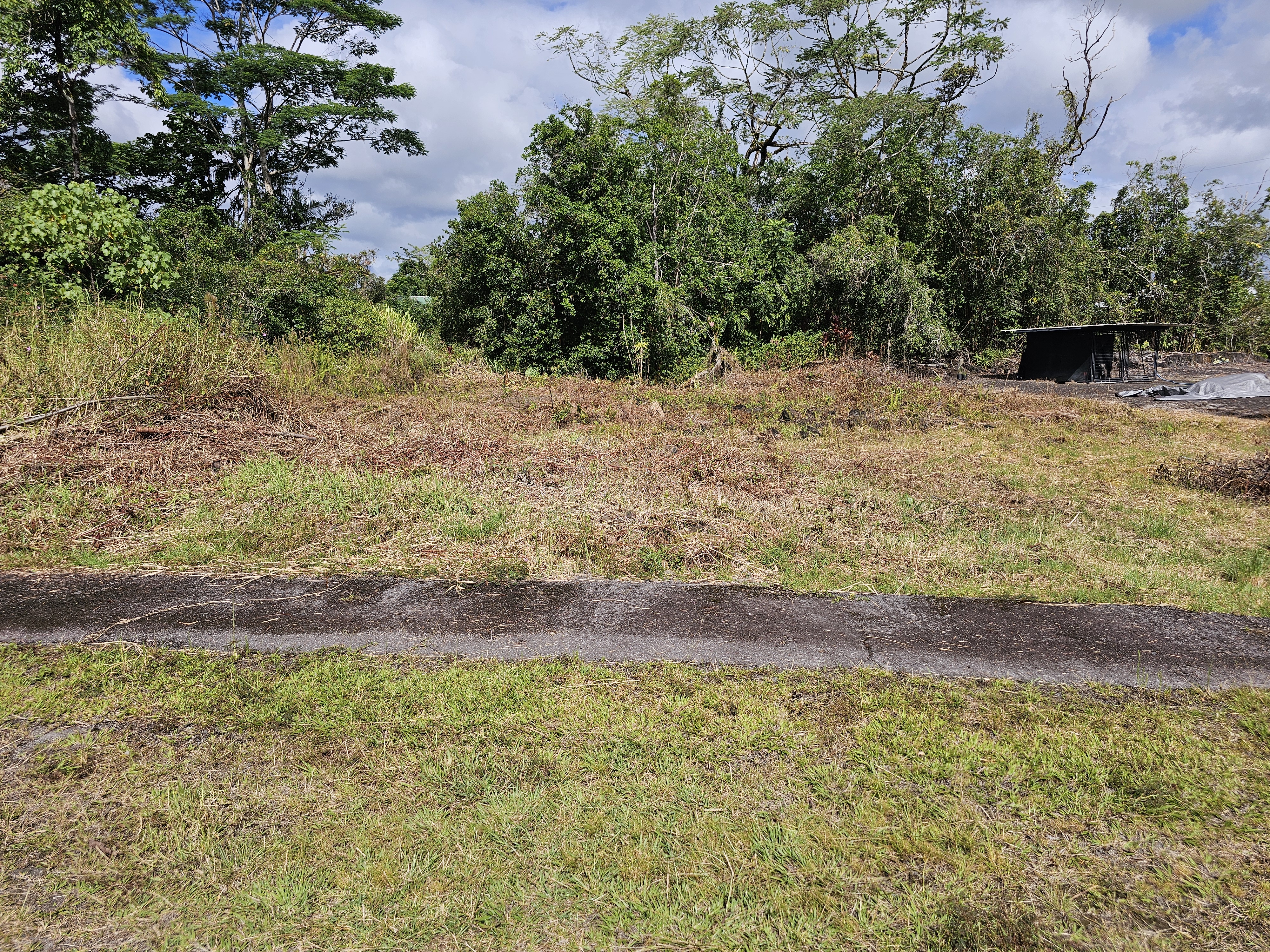 52 Lot 123-b Wilder Road Hilo, HI 96720 - Photo 2 of 4 a backyard of a house with lots of green space