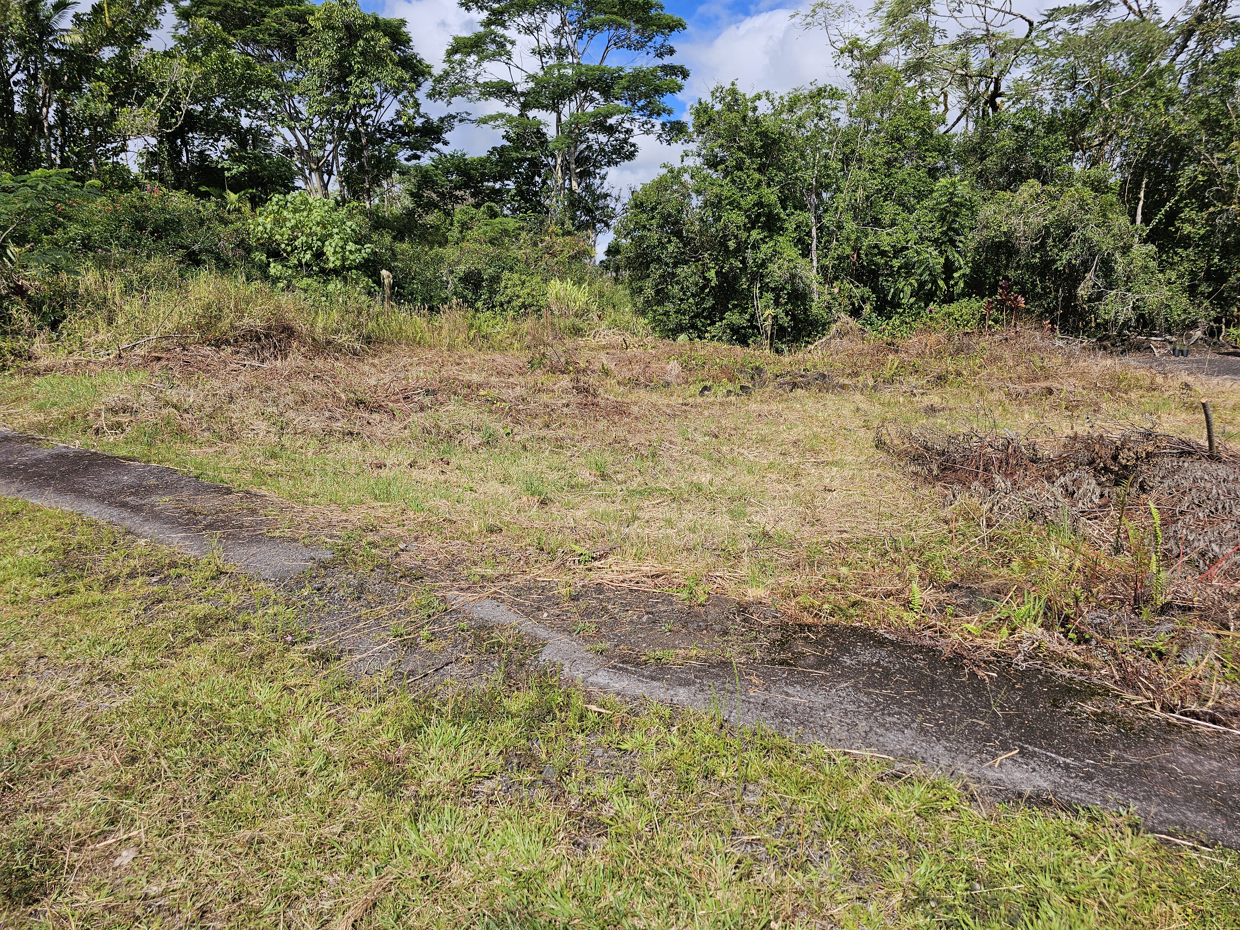 52 Lot 123-b Wilder Road Hilo, HI 96720 - Photo 4 of 4 a view of a yard with plants and trees