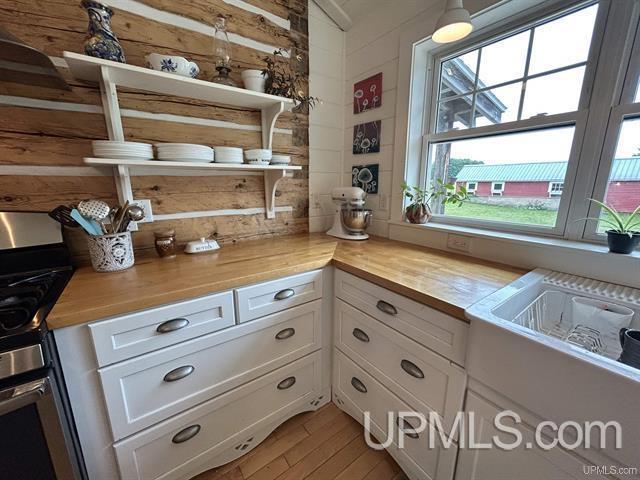 3907 Nykanen Road Chatham, MI 49816 - Photo 15 of 56 Gallery Image 15