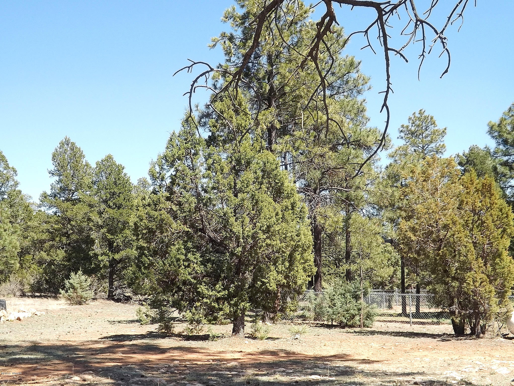 2126 Rimview Trail Overgaard, AZ 85933 - Photo 13 of 49