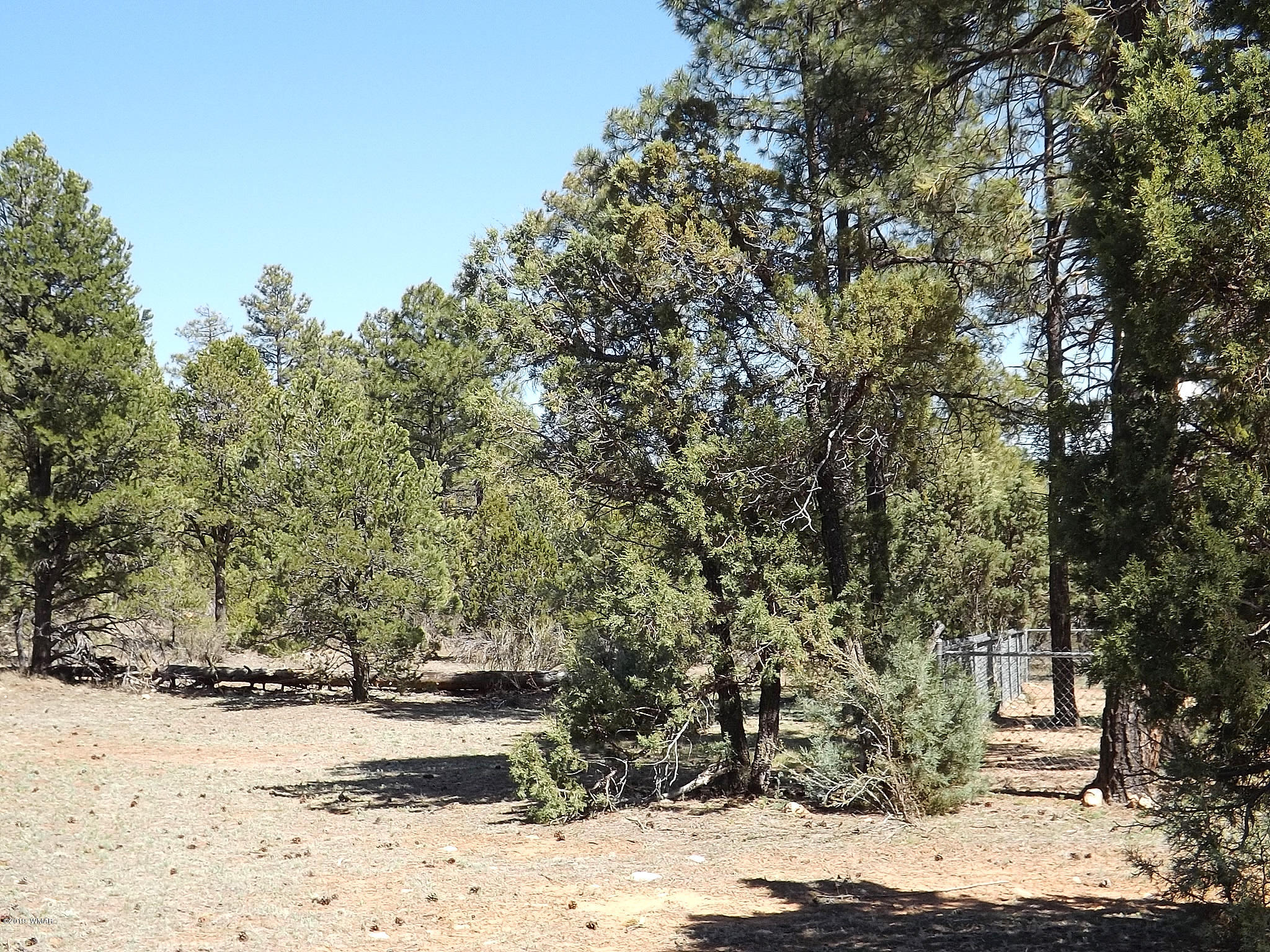 2126 Rimview Trail Overgaard, AZ 85933 - Photo 14 of 49