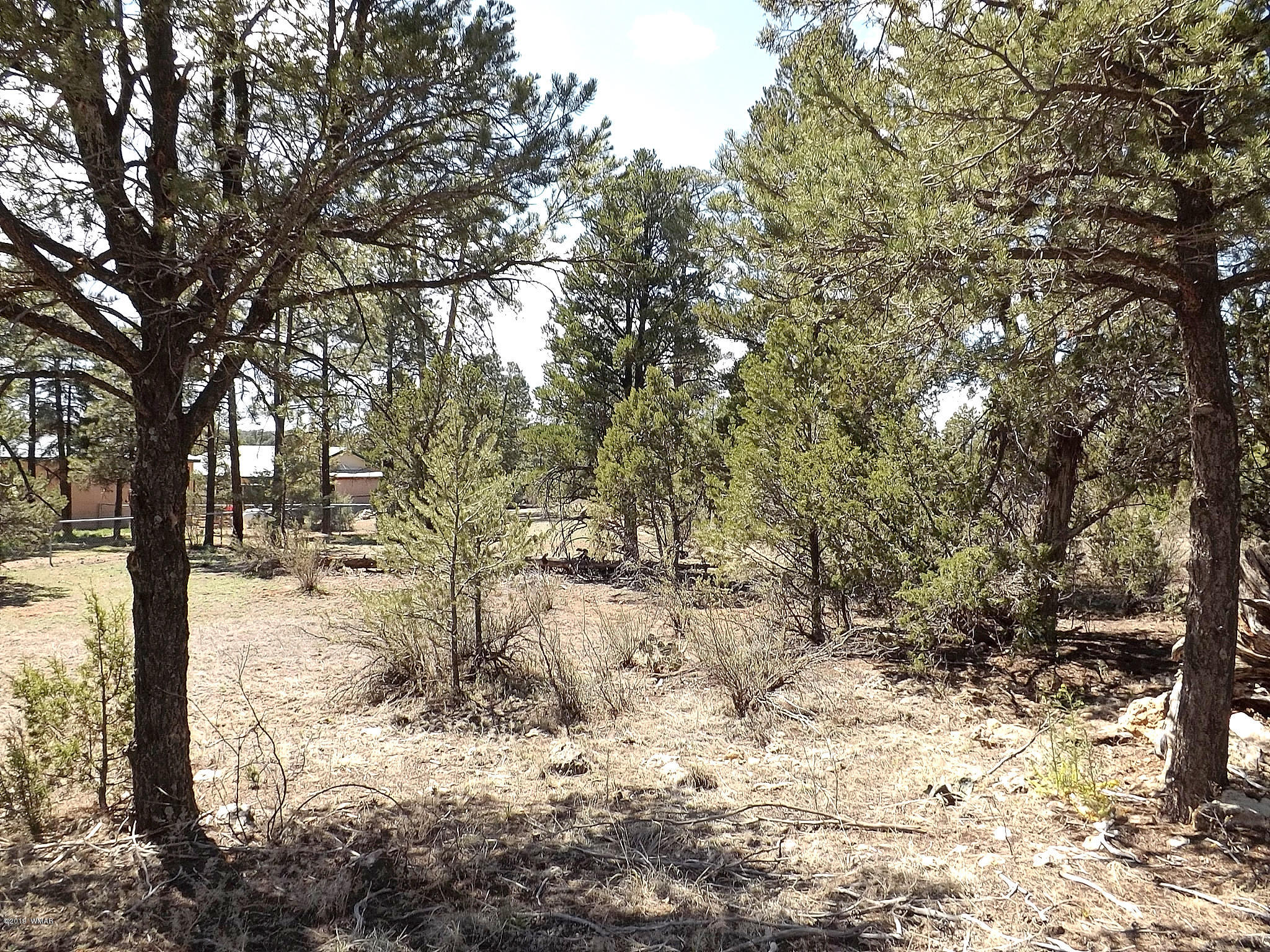 2126 Rimview Trail Overgaard, AZ 85933 - Photo 15 of 49