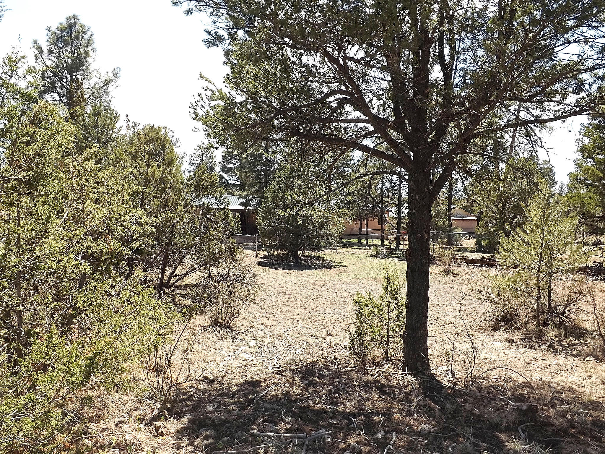 2126 Rimview Trail Overgaard, AZ 85933 - Photo 16 of 49